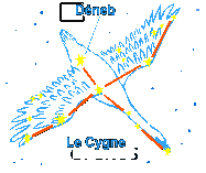 cygne.gif (3413 octets)