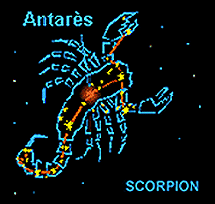 scorpion.gif (2740 octets)